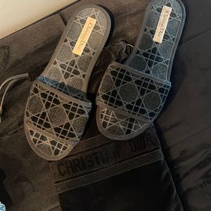 Christian Dior velvet slides